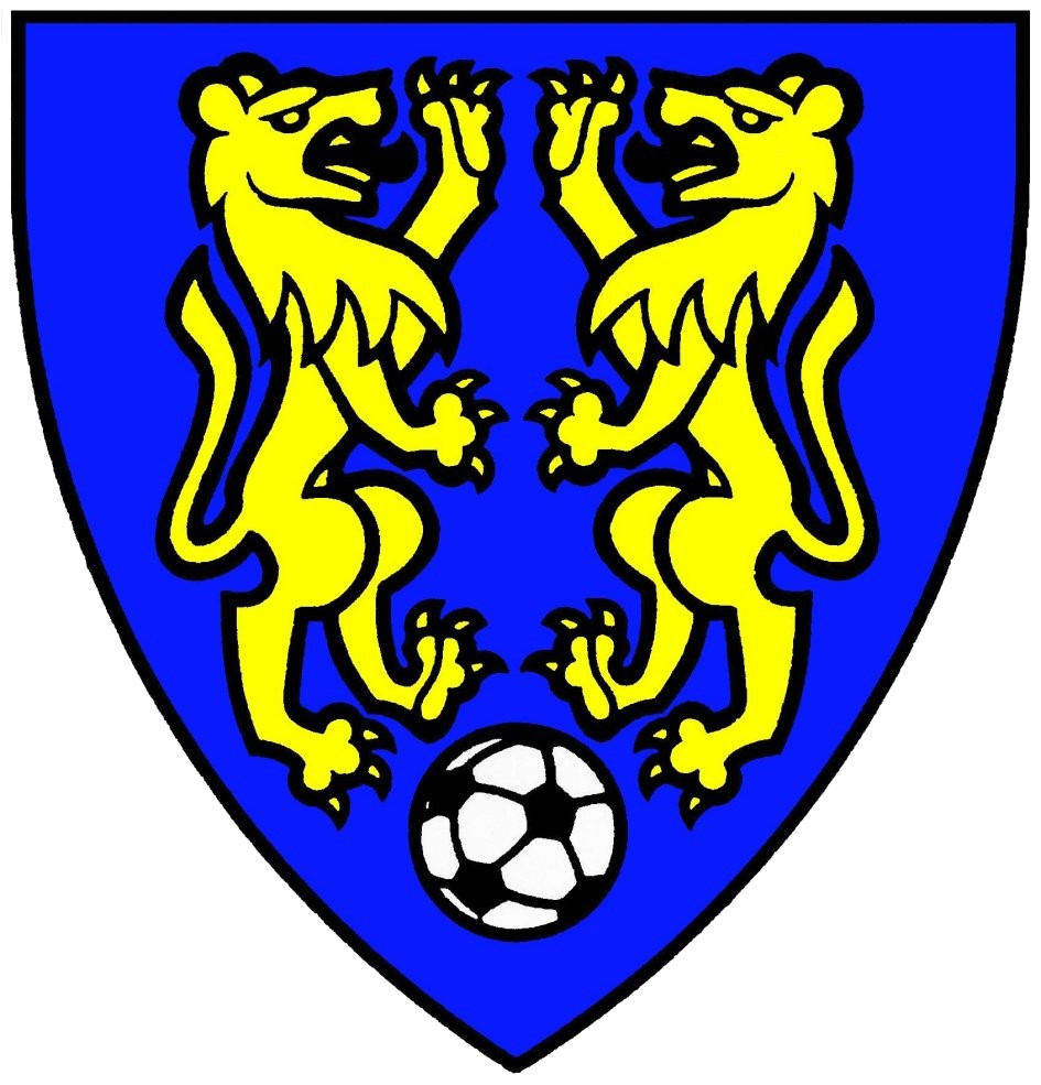 FC Leuzigen 5. Liga