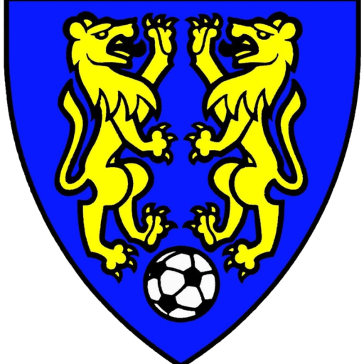 Frauen FC Leuzigen
