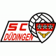 SC Düdingen 5. Liga