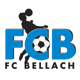 FC Bellach 5. Liga